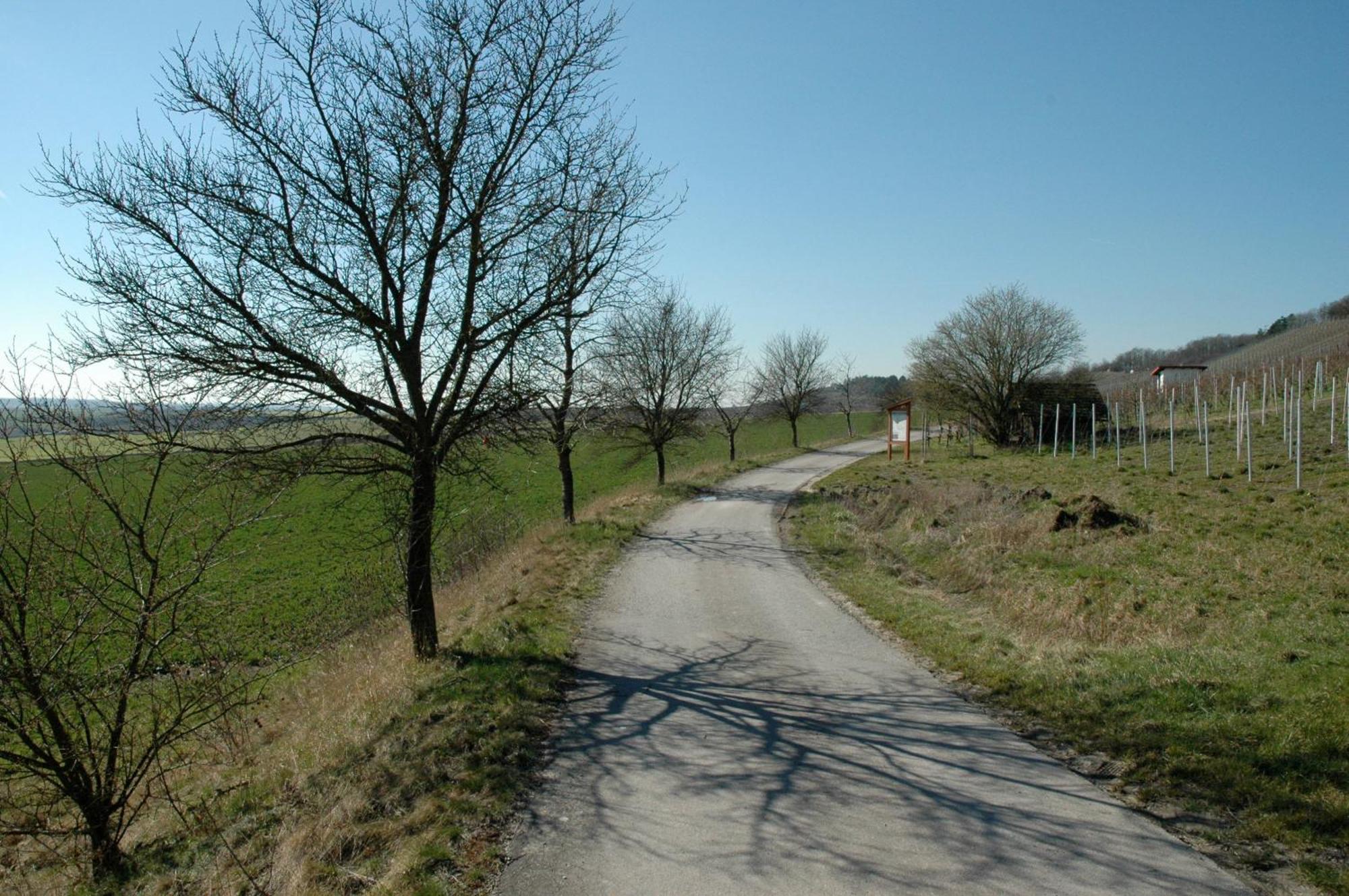 Landgasthof Zum Schwarzen Adler Markt Nordheim Extérieur photo