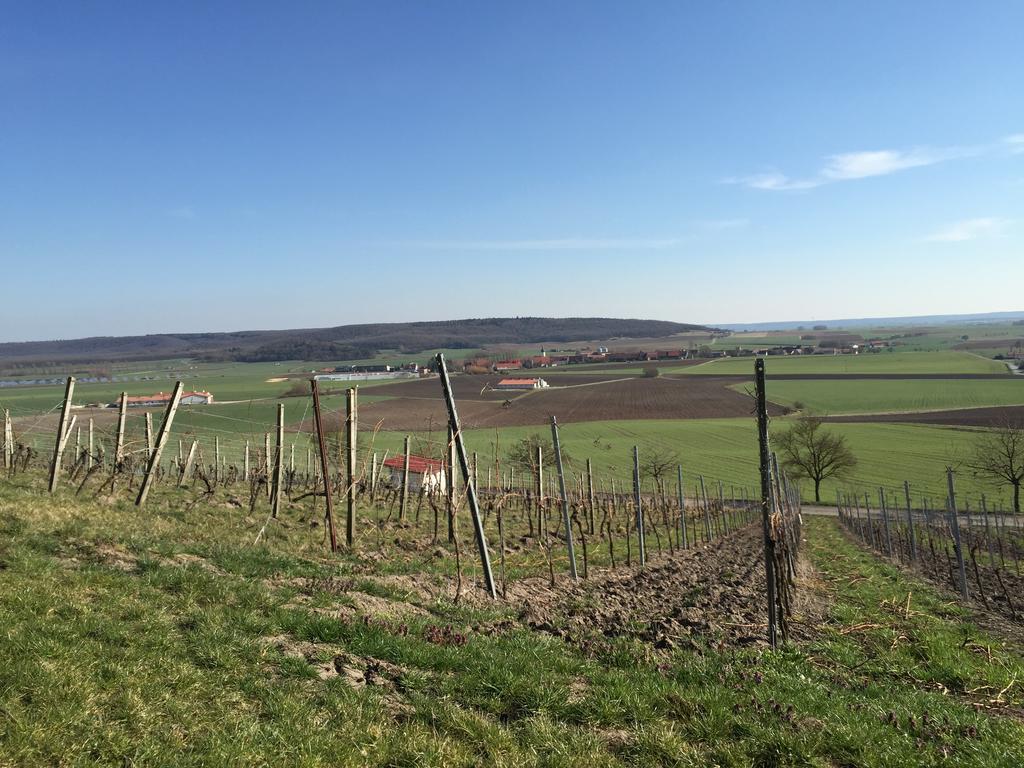 Landgasthof Zum Schwarzen Adler Markt Nordheim Extérieur photo